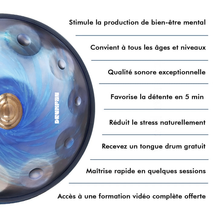 Handpan - Gamme C# Amara